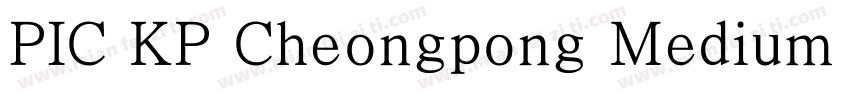 PIC KP Cheongpong Medium KP 97KPS F字体转换
